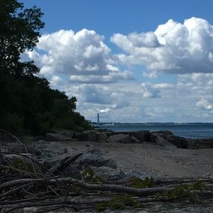 Meet your Posher, Lilly